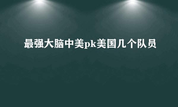 最强大脑中美pk美国几个队员