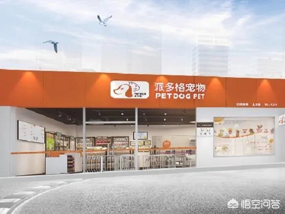 宠物店市场分析及定位怎么做?