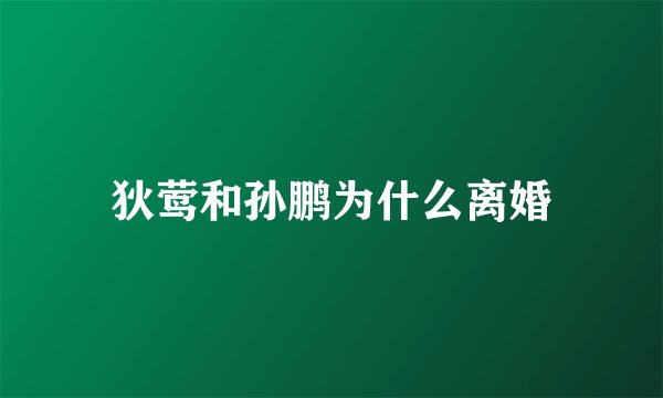 狄莺和孙鹏为什么离婚