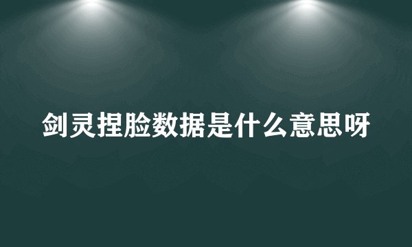 剑灵捏脸数据是什么意思呀