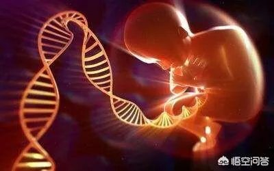 通过美国试管婴儿出生的孩子智商如何?