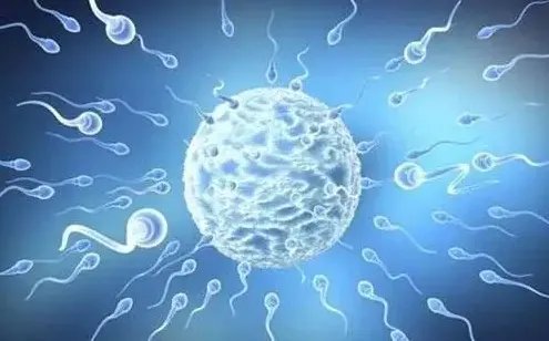 试管促排-【医生手记】试管婴儿常用的6种促排卵药物