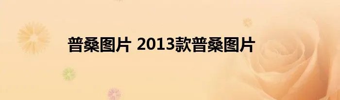 普桑图片 2013款普桑图片