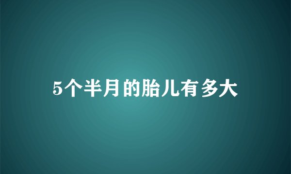 5个半月的胎儿有多大