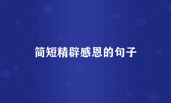 简短精辟感恩的句子