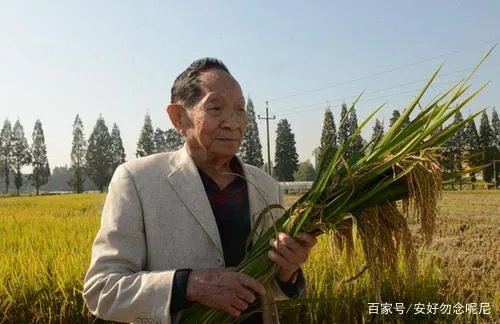 袁隆平最后的时光：病危之际，还关心稻子长势，你怎么看?