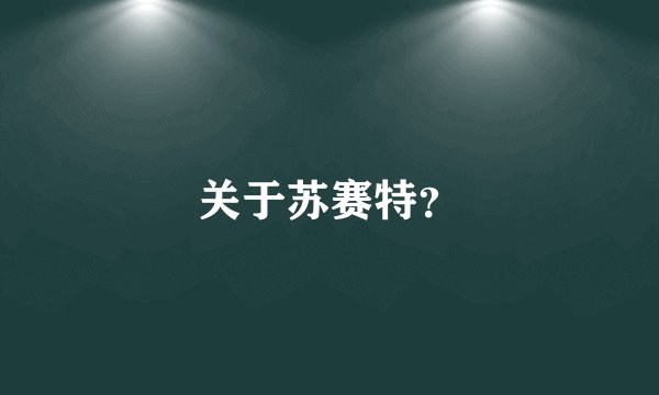 关于苏赛特?