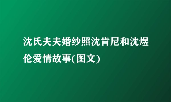 沈氏夫夫婚纱照沈肯尼和沈煜伦爱情故事(图文)