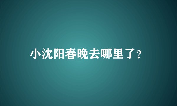 小沈阳春晚去哪里了?