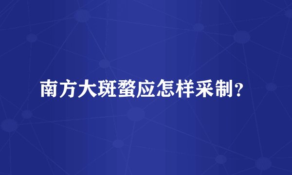 南方大斑蝥应怎样采制?