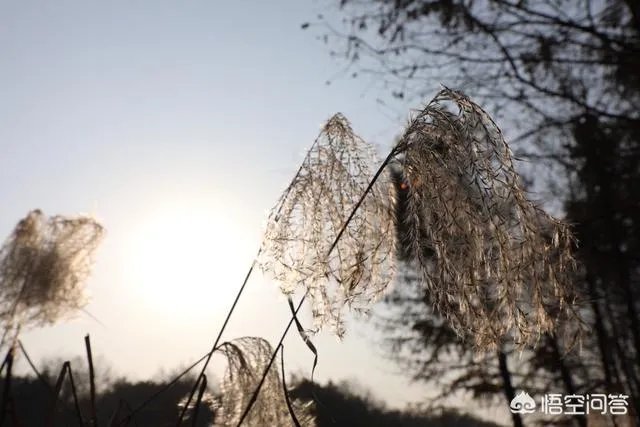摄影技术提高靠什么,是交流还是看书?