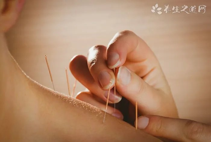 春分养生茶有哪些