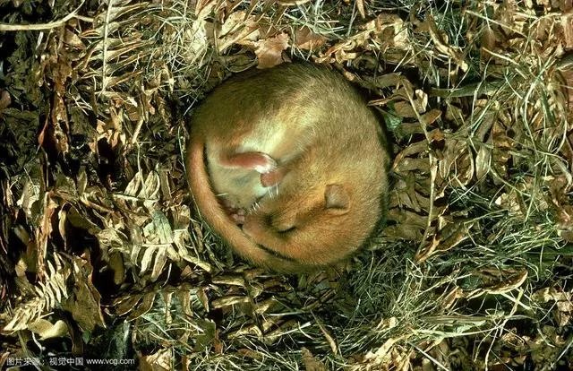 中国首例人体冷冻完成,你怎么看?