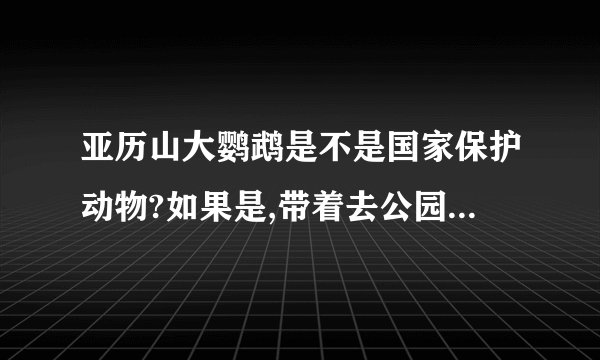 亚历山大鹦鹉是不是国家保护动物?如果是,带着去公园,会不会被人举报?