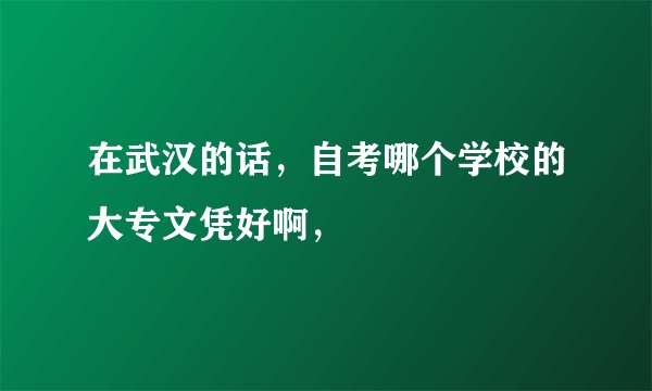 在武汉的话，自考哪个学校的大专文凭好啊，