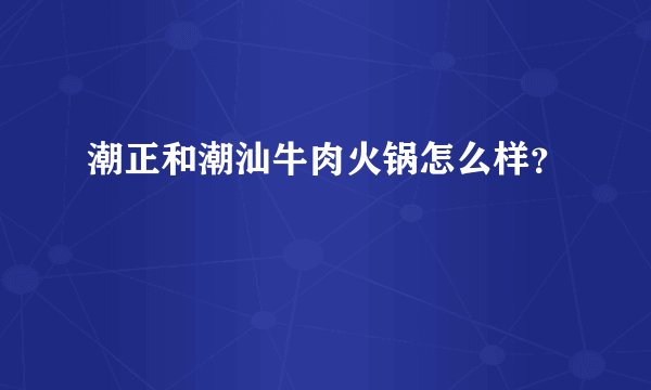 潮正和潮汕牛肉火锅怎么样？