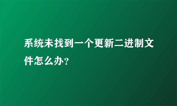 系统未找到一个更新二进制文件怎么办？