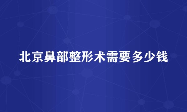 北京鼻部整形术需要多少钱