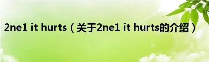 2ne1 it hurts(关于2ne1 it hurts的介绍)