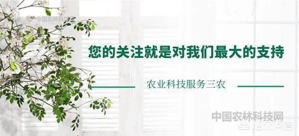从化位于广东哪里?