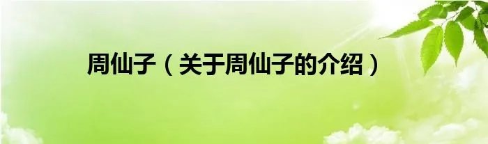 周仙子（关于周仙子的介绍）