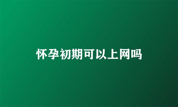 怀孕初期可以上网吗