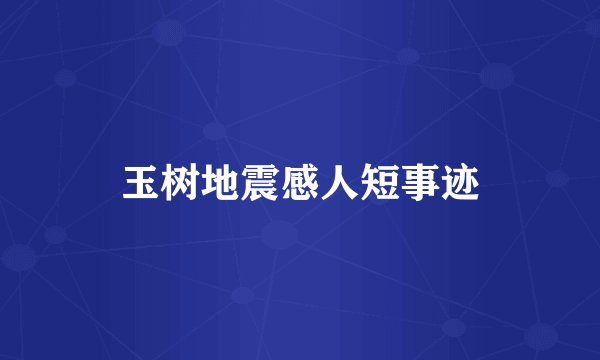 玉树地震感人短事迹