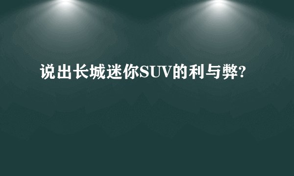 说出长城迷你SUV的利与弊?