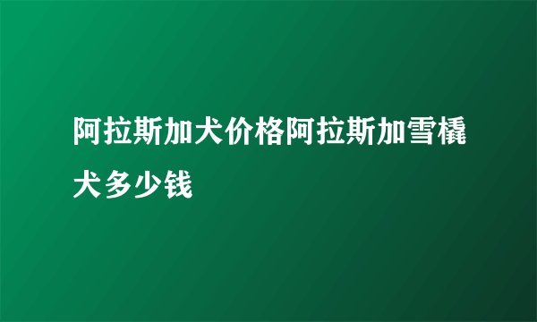 阿拉斯加犬价格阿拉斯加雪橇犬多少钱