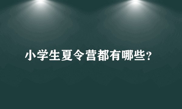 小学生夏令营都有哪些？