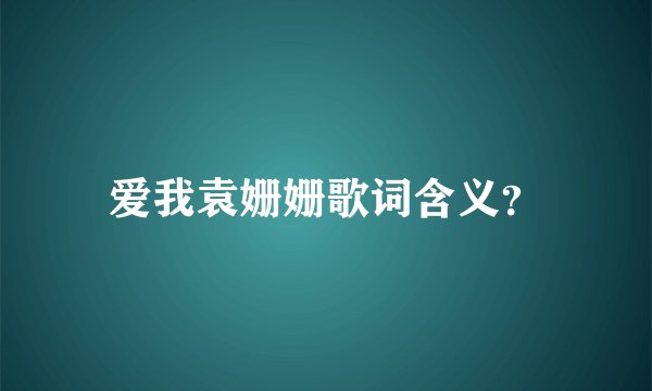 爱我袁姗姗歌词含义?
