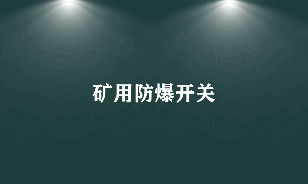矿用防爆开关