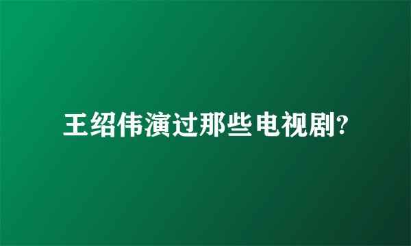 王绍伟演过那些电视剧?
