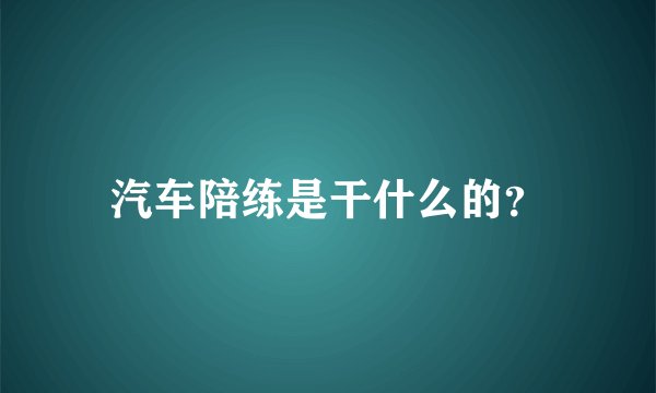 汽车陪练是干什么的?