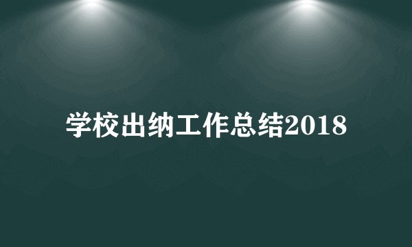 学校出纳工作总结2018