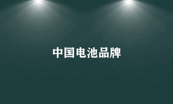 中国电池品牌