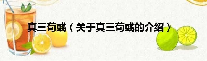 真三荀彧（关于真三荀彧的介绍）