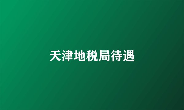 天津地税局待遇