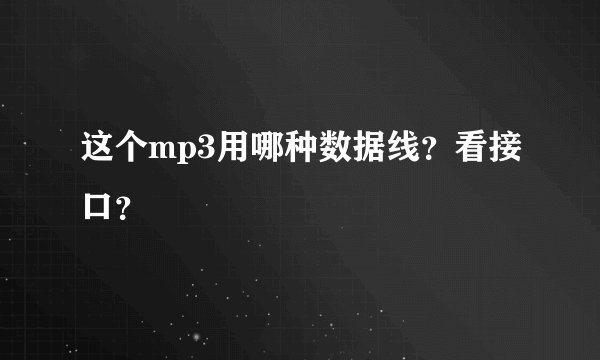 这个mp3用哪种数据线？看接口？