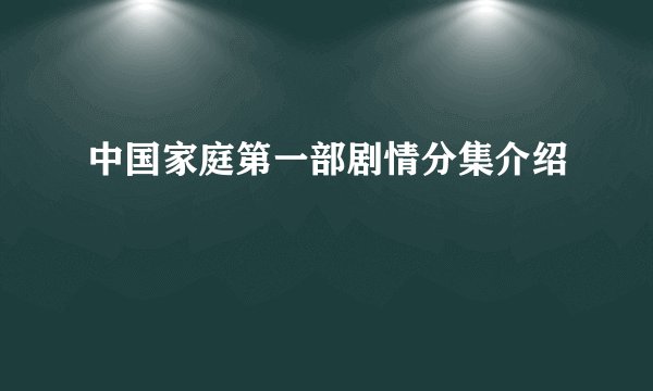 中国家庭第一部剧情分集介绍