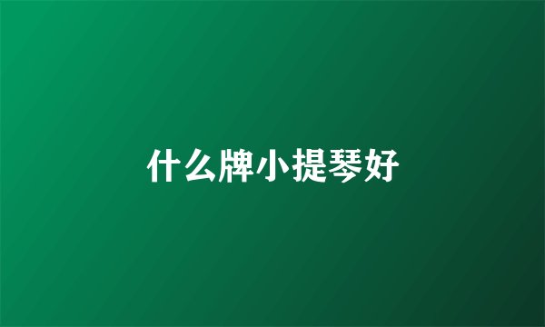 什么牌小提琴好