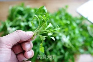 荠菜饺子
