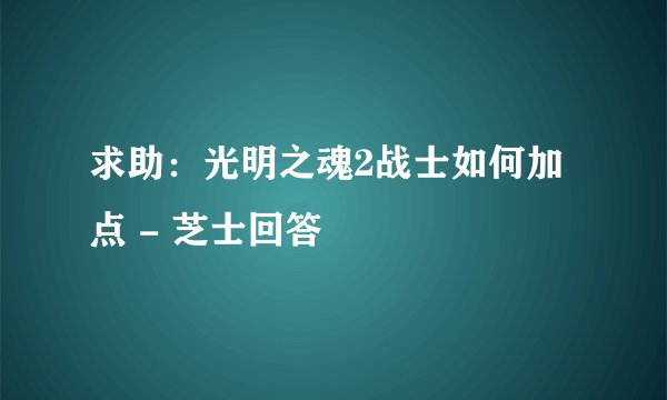求助：光明之魂2战士如何加点 - 芝士回答