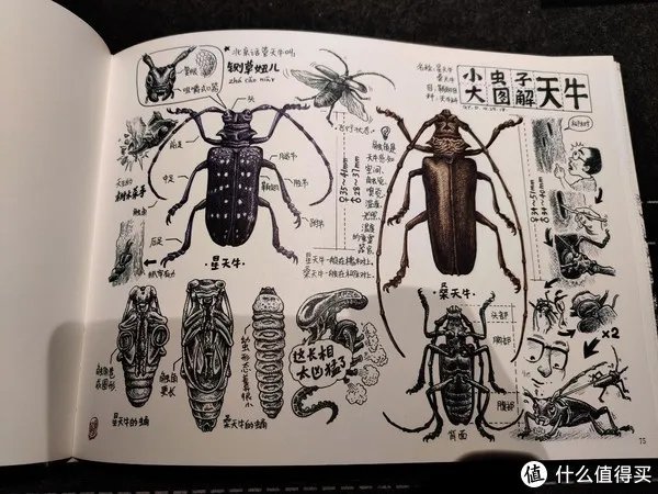 不求甚解集 篇二十:我们的八十年代:《漫步八十年代:老北京拾遗》