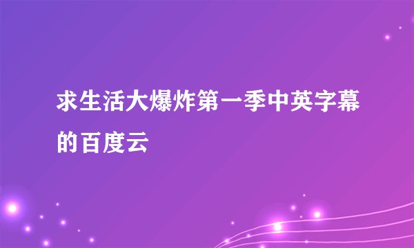 求生活大爆炸第一季中英字幕的百度云