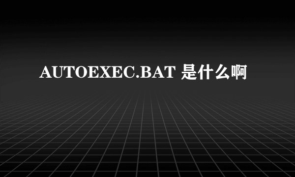 AUTOEXEC.BAT 是什么啊