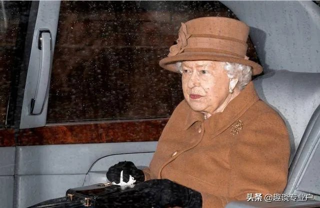 查尔斯王子确诊新冠肺炎意味着什么?