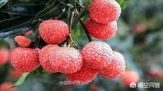 从化位于广东哪里?