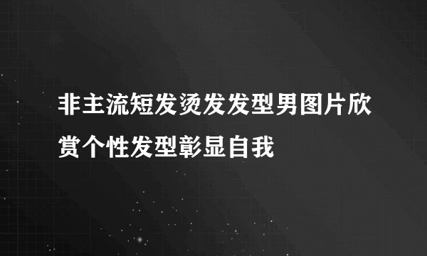 非主流短发烫发发型男图片欣赏个性发型彰显自我