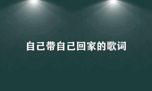 自己带自己回家的歌词